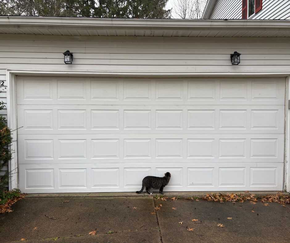 garage door safety tips for pets and families